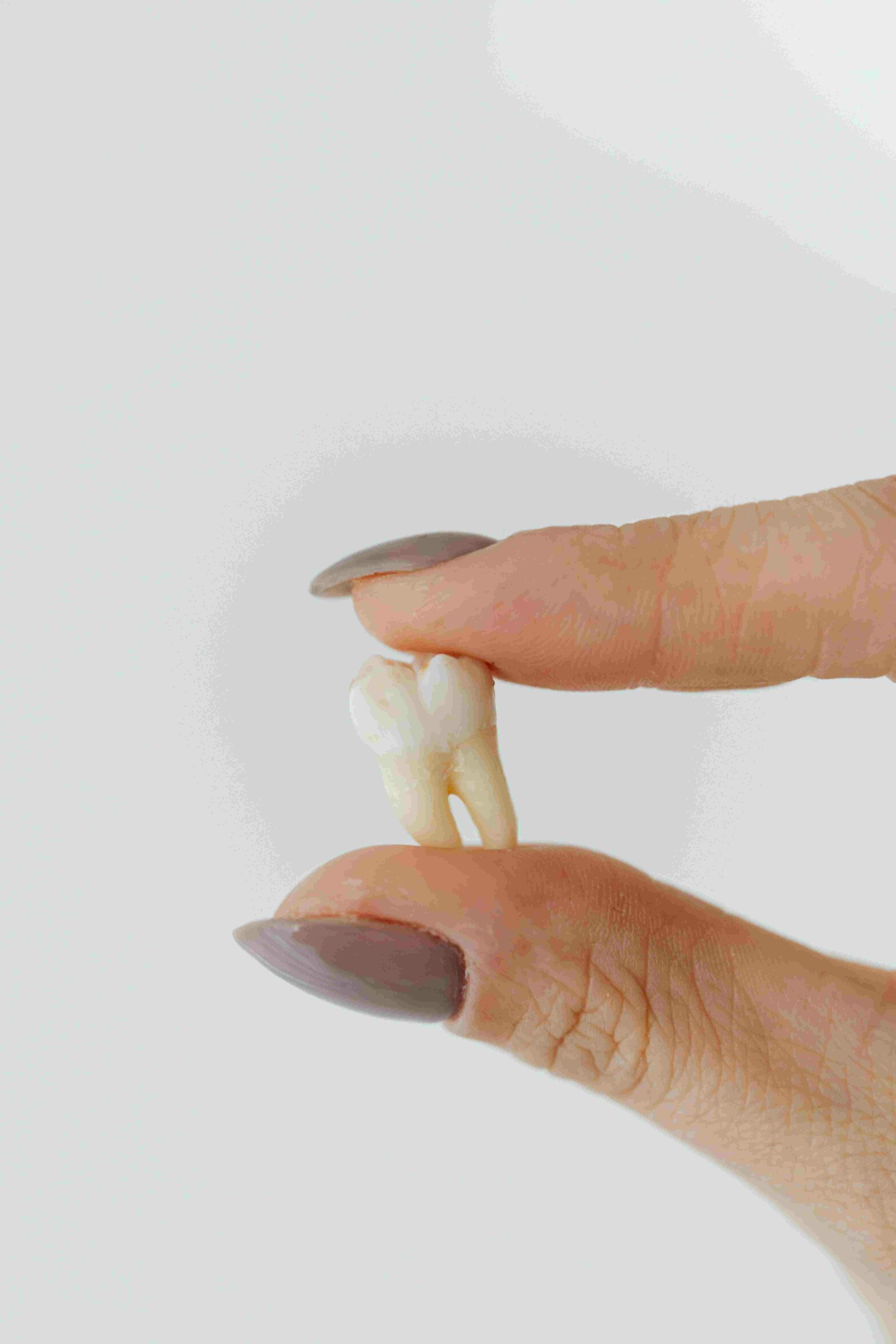 Wisdom Teeth Removal Near Me in Frisco | Elate Orthodontics